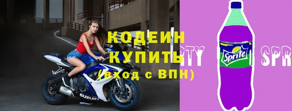 дурь Бородино