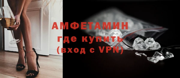 дурь Бородино