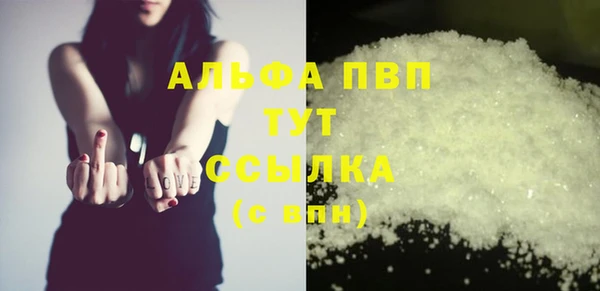 дурь Бородино