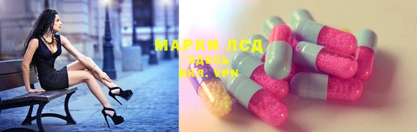 дурь Бородино