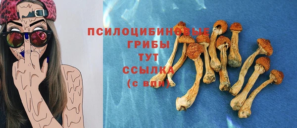 дурь Бородино
