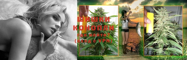 дурь Бородино