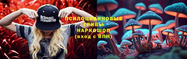дурь Бородино