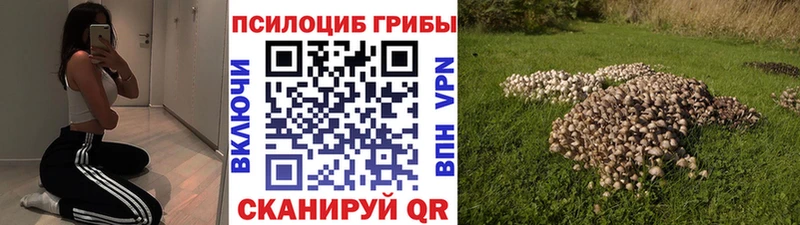 Галлюциногенные грибы Psilocybine cubensis  Джанкой 
